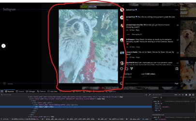 firefox element chosen.jpg