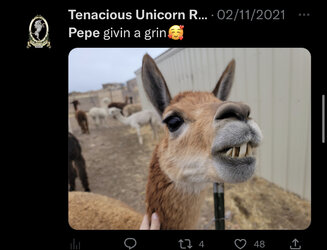 BD011769-E598-4946-BAB0-9AEF6CC4DE0E.jpeg