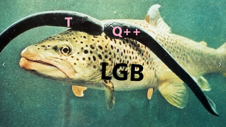 1672694671465.png