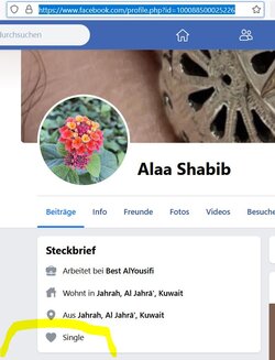 alaa shabib single.JPG