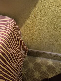 IMG_20230102_173727635.jpg