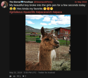 4.png