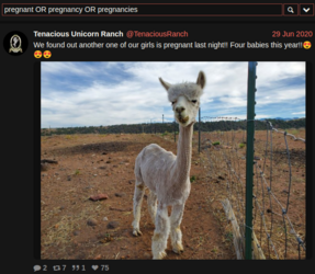 6.png