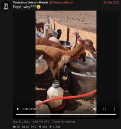 b.png