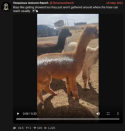 d.png