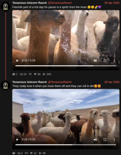 e.png