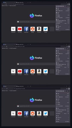firefoxcap1.JPG
