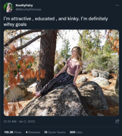 Screenshot 2023-01-02 at 22-42-50 KnottyFairy on Twitter.png