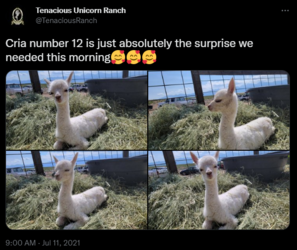 1672739764800.png