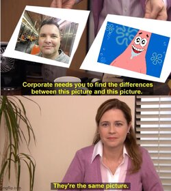 768bf6.jpg