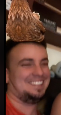 1672766413706.png