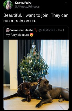 Screenshot_20230103-123606_Chrome.jpg