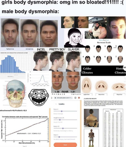 dysmorphia.png