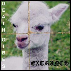 DG-ExT.jpg