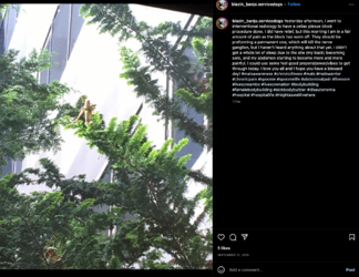 Screen Shot 2022-12-26 at 9.49.36 PM.png