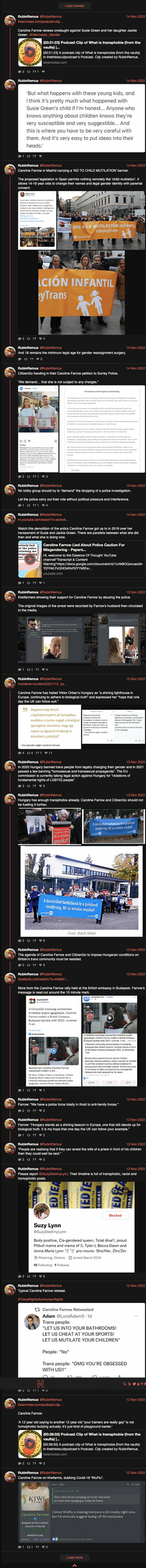 RubinRemus 2022-11-12 - 2022-11-14.png