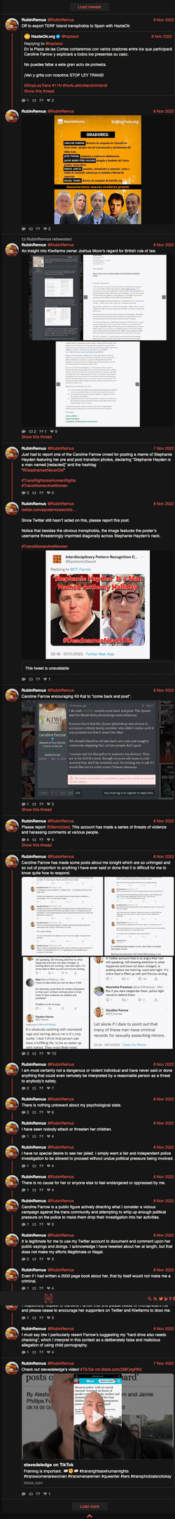 RubinRemus 2022-11-07 - 2022-11-08.png