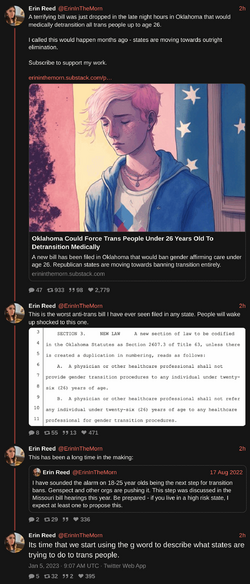 ErinInTheMorn-1610926039902949376.png