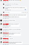Kiwi 3.jpg