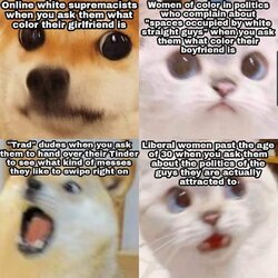 dogs.jpeg