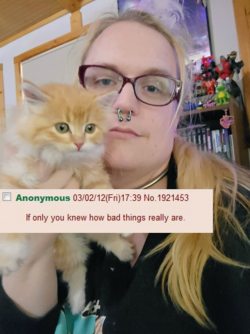 1673070184087.png