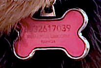 032617039.png