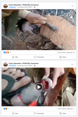 carton_alexander16.PNG
