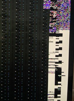 D4EB8F7B-0E6D-4CE8-98D4-FA495290D0CF.jpeg