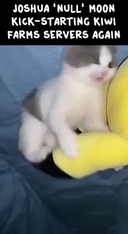 doc_2022-12-19_16-00-52.gif