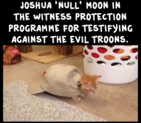 doc_2022-12-19_16-04-46.gif