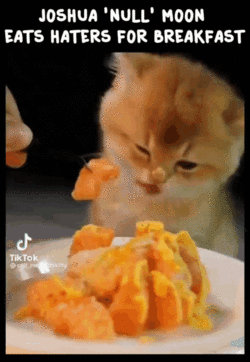 j3.gif