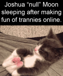 kittenmoon.gif