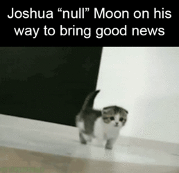 kittenmoon3.gif