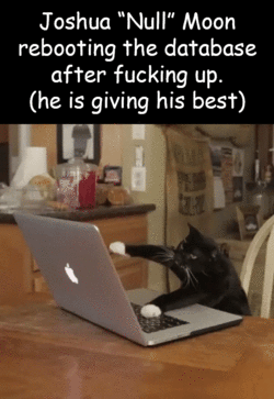 kittenmoon5.gif