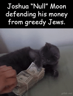 kittenmoon6.gif