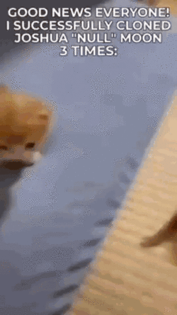 video-2022-09-12-15-20-09.gif