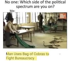 politics bag of cobras.png