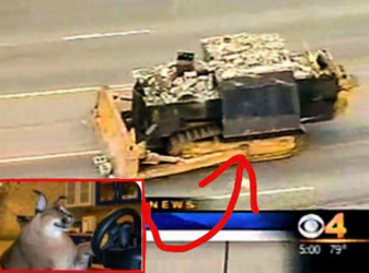Love Dozer.png