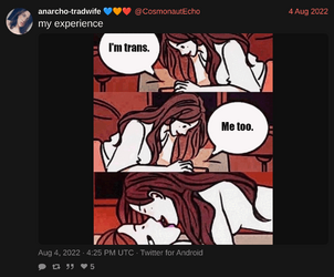 CosmonautEcho-1555228348334444545.png