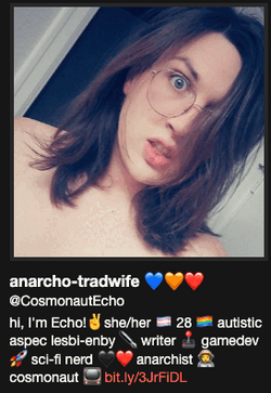 cosmonautecho-bio.png