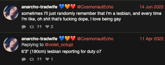 cosmonautecho-huge.png