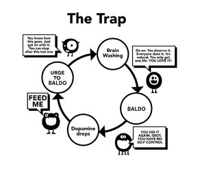 The Baldo Trap.jpg