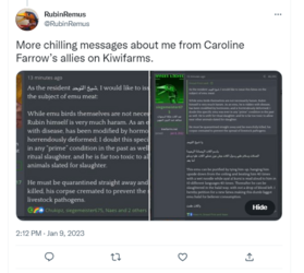 Rubin Remus Islamophobia.PNG