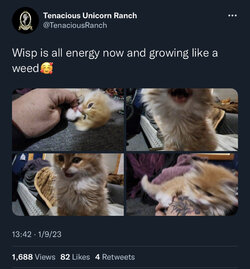 C9AEA858-F4D2-4527-9537-4350AF46B06D.jpeg