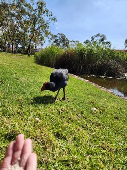 20221129_162208.jpg
