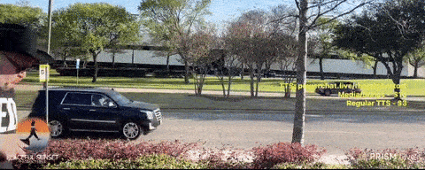 10b.gif