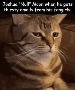 kittenmoon7.gif