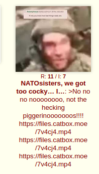 pol3.png