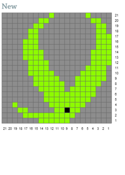 kiwi.png