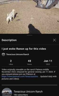 255EE4C6-2AE6-4AD1-B370-4736942AA715.jpeg